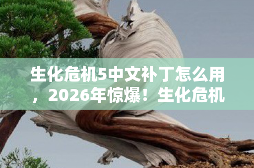 生化危机5中文补丁怎么用图片