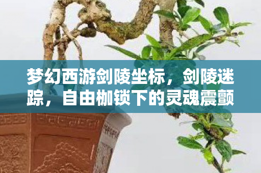 自由枷锁下的灵魂震颤图片