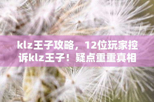 12位玩家控诉klz王子图片