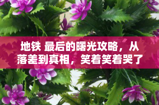 我竟还在地铁最后的曙光里徘徊图片