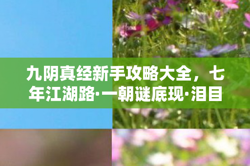 九阴真经新手攻略大全图片