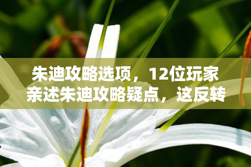 12位玩家亲述朱迪攻略疑点图片