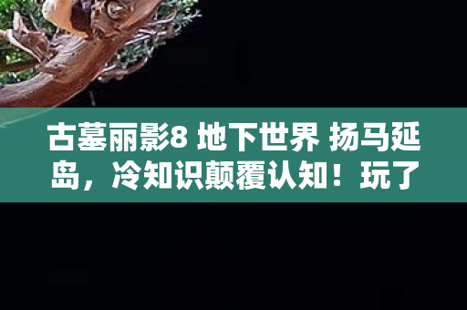 古墓丽影8 地下世界 扬马延岛图片