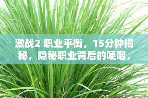 激战2 职业平衡,15分钟揭秘,隐秘职业背后的哽咽,那些通宵的夜你还记得吗? 激战2 职业平衡,15分钟揭秘,隐秘职业背后的哽咽,那些通宵的夜你还记得吗?