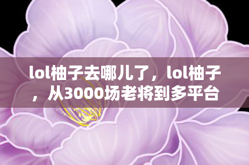 从3000场老将到多平台流浪者图片