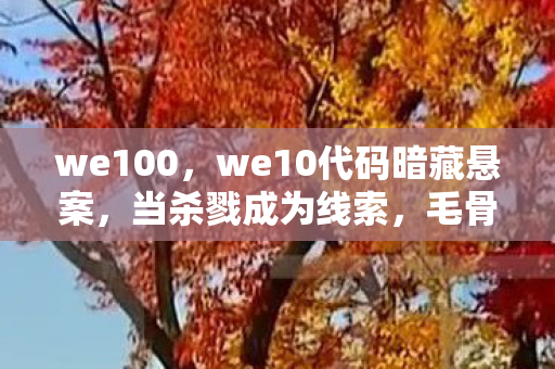 we100,we10代码暗藏悬案,当杀戮成为线索,毛骨悚然真相竟是我自己 we100,we10代码暗藏悬案,当杀戮成为线索,毛骨悚然真相竟是我自己