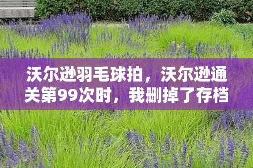 这破游戏藏着300万人的眼泪图片