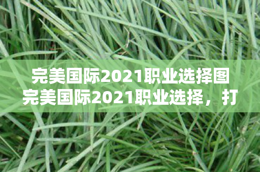 完美国际2021职业选择图完美国际2021职业选择，打造你的专属角色，完美国际2021，打造你的专属角色，职业选择全解析