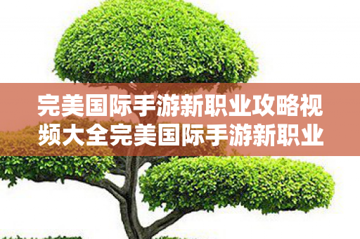 完美国际手游新职业攻略视频大全完美国际手游新职业攻略视频，完美国际手游新职业攻略视频大全