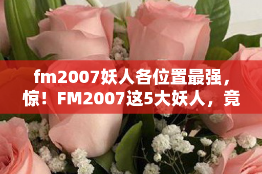 fm2007妖人各位置最强图片