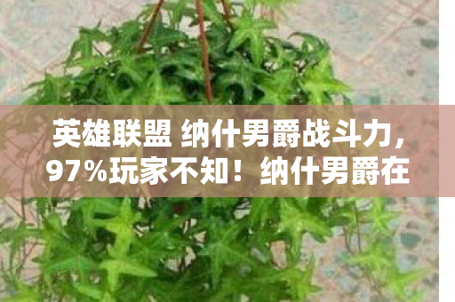 纳什男爵在三平台竟有如此操控天壤之别图片