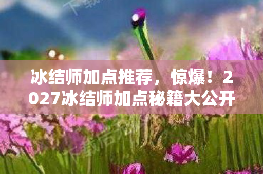 2027冰结师加点秘籍大公开图片