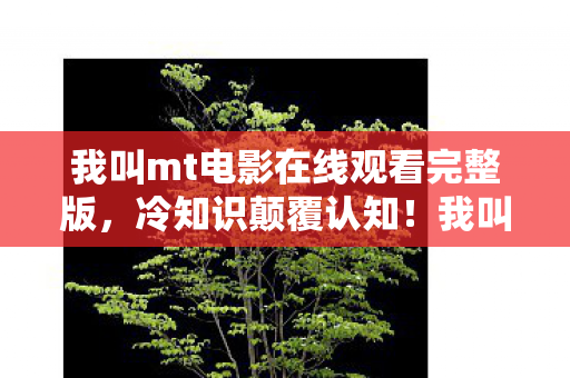 我叫mt电影在线观看完整版图片