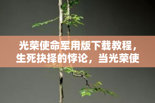 当光荣使命军用版的子弹穿透中年人生的第N层图片