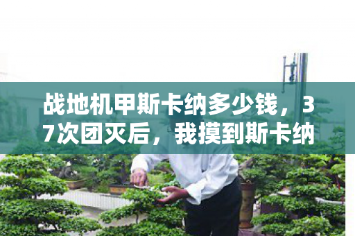 我摸到斯卡纳的致命弱点图片