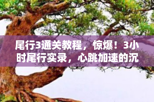 心跳加速的沉浸式探秘体验图片
