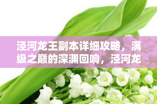 泾河龙王副本详细攻略图片