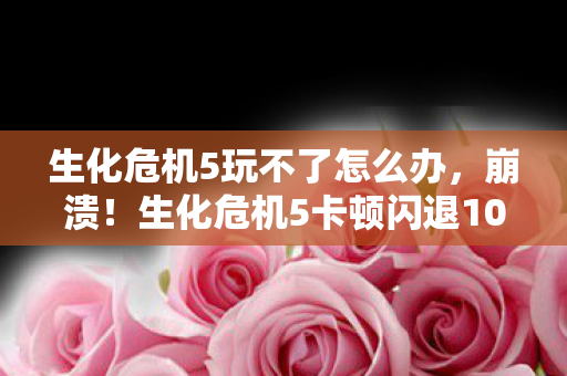 生化危机5卡顿闪退10次图片