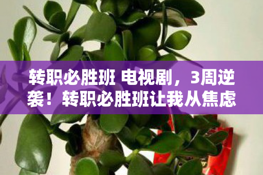 转职必胜班让我从焦虑到自信图片