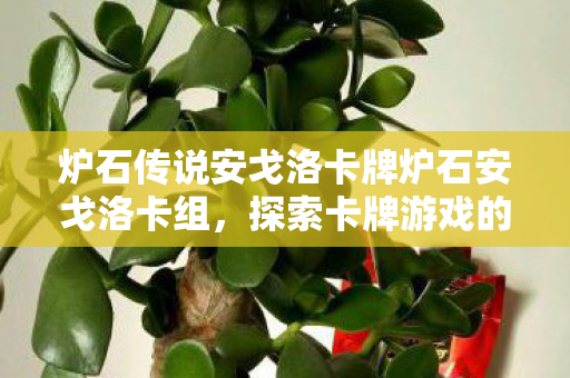 炉石传说安戈洛卡牌炉石安戈洛卡组，探索卡牌游戏的深度与策略，安戈洛卡牌策略，探索炉石传说的深度与策略