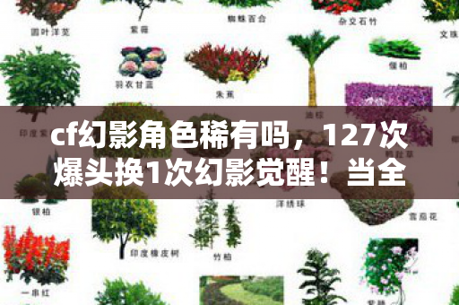 当全服第一狙神在2028年按下删除键图片