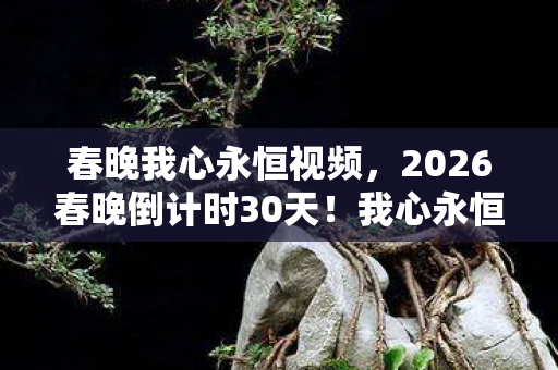 2026春晚倒计时30天图片