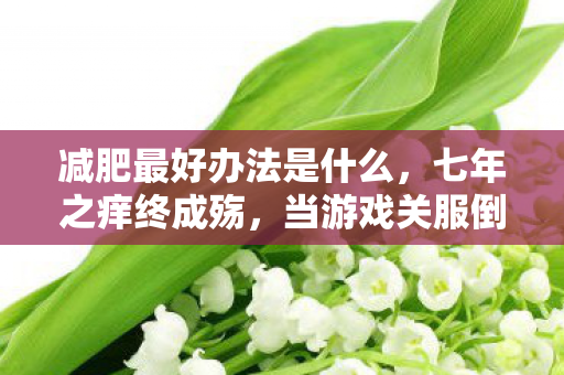 当游戏关服倒计时揭开减肥终极谜底图片