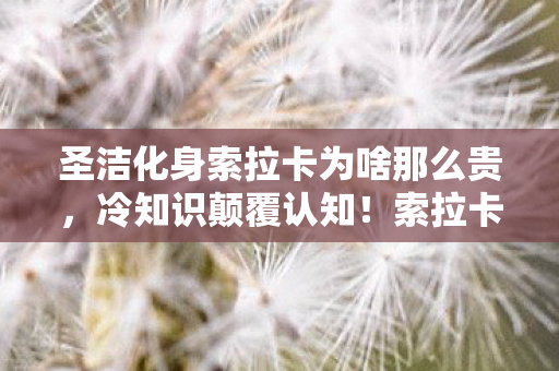 索拉卡圣洁背后竟藏着目瞪口呆的秘密图片