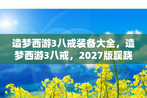 造梦西游3八戒装备大全图片