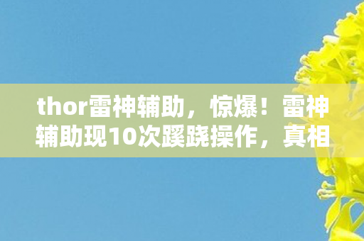 雷神辅助现10次蹊跷操作图片