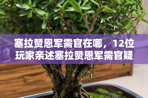12位玩家亲述塞拉赞恩军需官疑点图片