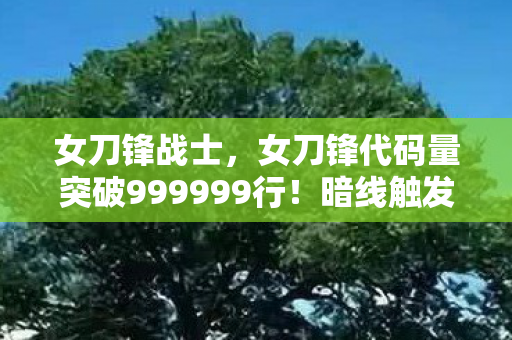 女刀锋代码量突破999999行图片