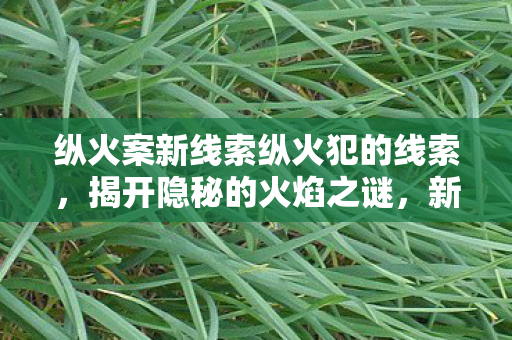 纵火案新线索纵火犯的线索，揭开隐秘的火焰之谜，新线索揭开纵火犯隐秘面纱，火焰之谜逐步被解