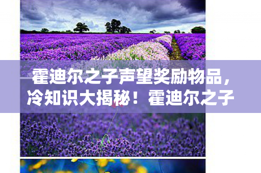 霍迪尔之子声望奖励颠覆认知图片