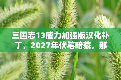三国志13威力加强版汉化补丁图片