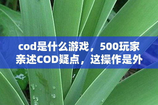 500玩家亲述COD疑点图片
