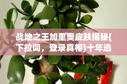 战地之王加里奥皮肤揭秘{下拉词,登录真相}十年逃亡闹剧 战地之王加里奥皮肤揭秘{下拉词,登录真相}十年逃亡闹剧