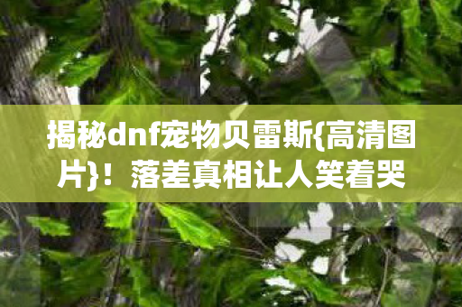揭秘dnf宠物贝雷斯{高清图片}！落差真相让人笑着哭