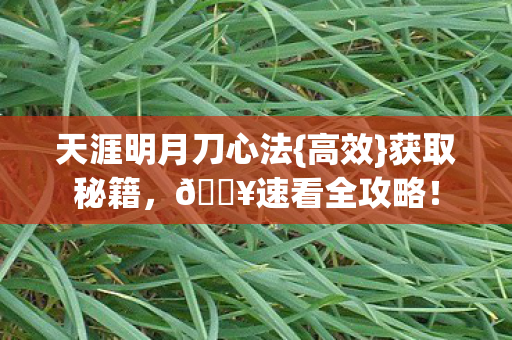 天涯明月刀心法图片