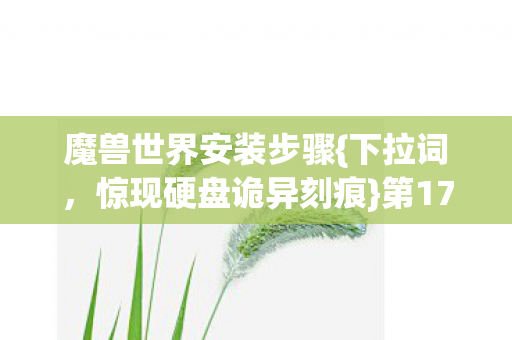 魔兽世界安装步骤{下拉词,惊现硬盘诡异刻痕}第17次安装吓一跳 魔兽世界安装步骤{下拉词,惊现硬盘诡异刻痕}第17次安装吓一跳