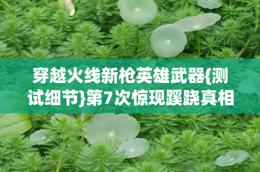 穿越火线新枪英雄武器{测试细节}第7次惊现蹊跷真相
