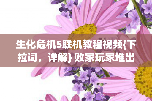 生化危机5联机教程视频图片