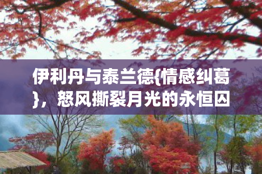 怒风撕裂月光的永恒囚徒图片