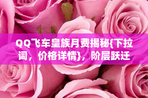 QQ飞车皇族月费揭秘图片