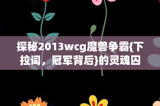 探秘2013wcg魔兽争霸图片