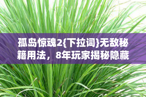 孤岛惊魂2{下拉词}无敌秘籍用法，8年玩家揭秘隐藏设定