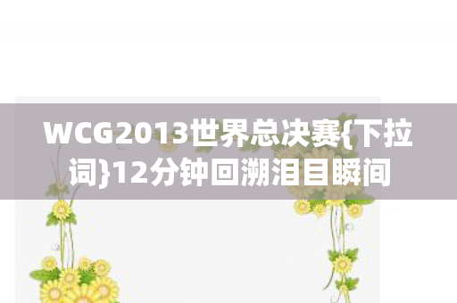 WCG2013世界总决赛{下拉词}12分钟回溯泪目瞬间