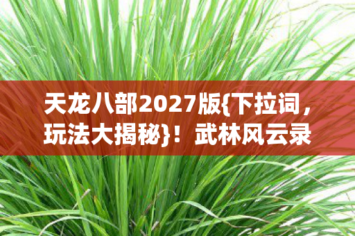天龙八部2027版{下拉词，玩法大揭秘}！武林风云录位置与离谱迭代