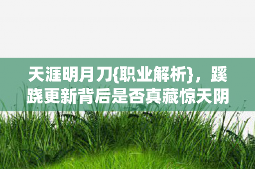 天涯明月刀{职业解析},蹊跷更新背后是否真藏惊天阴谋? 天涯明月刀{职业解析},蹊跷更新背后是否真藏惊天阴谋?