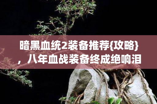 暗黑血统2装备推荐{攻略}，八年血战装备终成绝响泪目